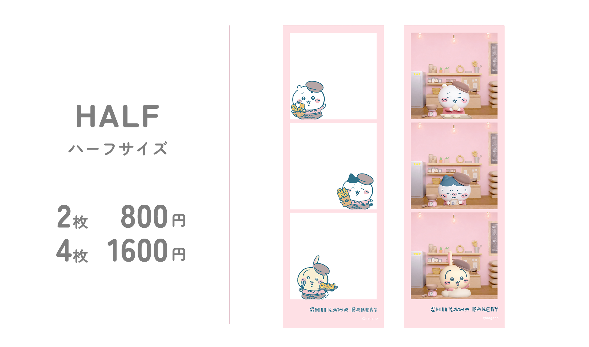HALF ハーフサイズ 2枚800円 4枚1600円